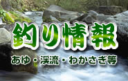 �Q�n�����̒ނ���