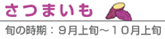 ���܂���(�{�̎����F�X����{�`�P�O����{)