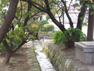 白井宿を流れる水路（渋川市）