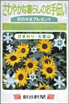 �Ԃ̎�