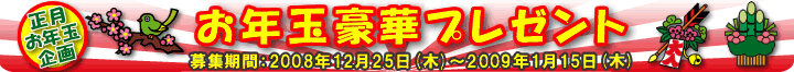 ���N�ʃv���[���g�@������ԁF08.12.25�i�؁j�`09.1.15�i�؁j�܂�