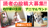 �ǎ҂̓��e���W!!