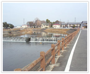 井野川と遊歩道